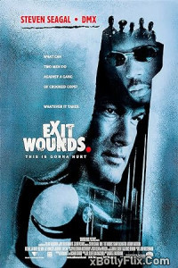 Exit Wounds (2001) Dual Audio [Hindi-English] Movies Download